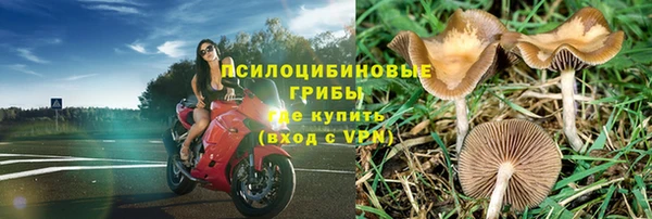 героин Вяземский