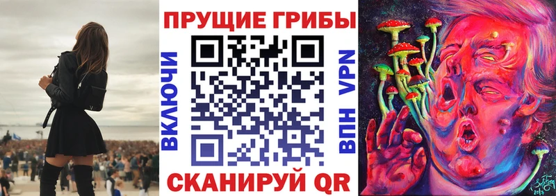 Псилоцибиновые грибы мицелий  наркота  Грайворон 